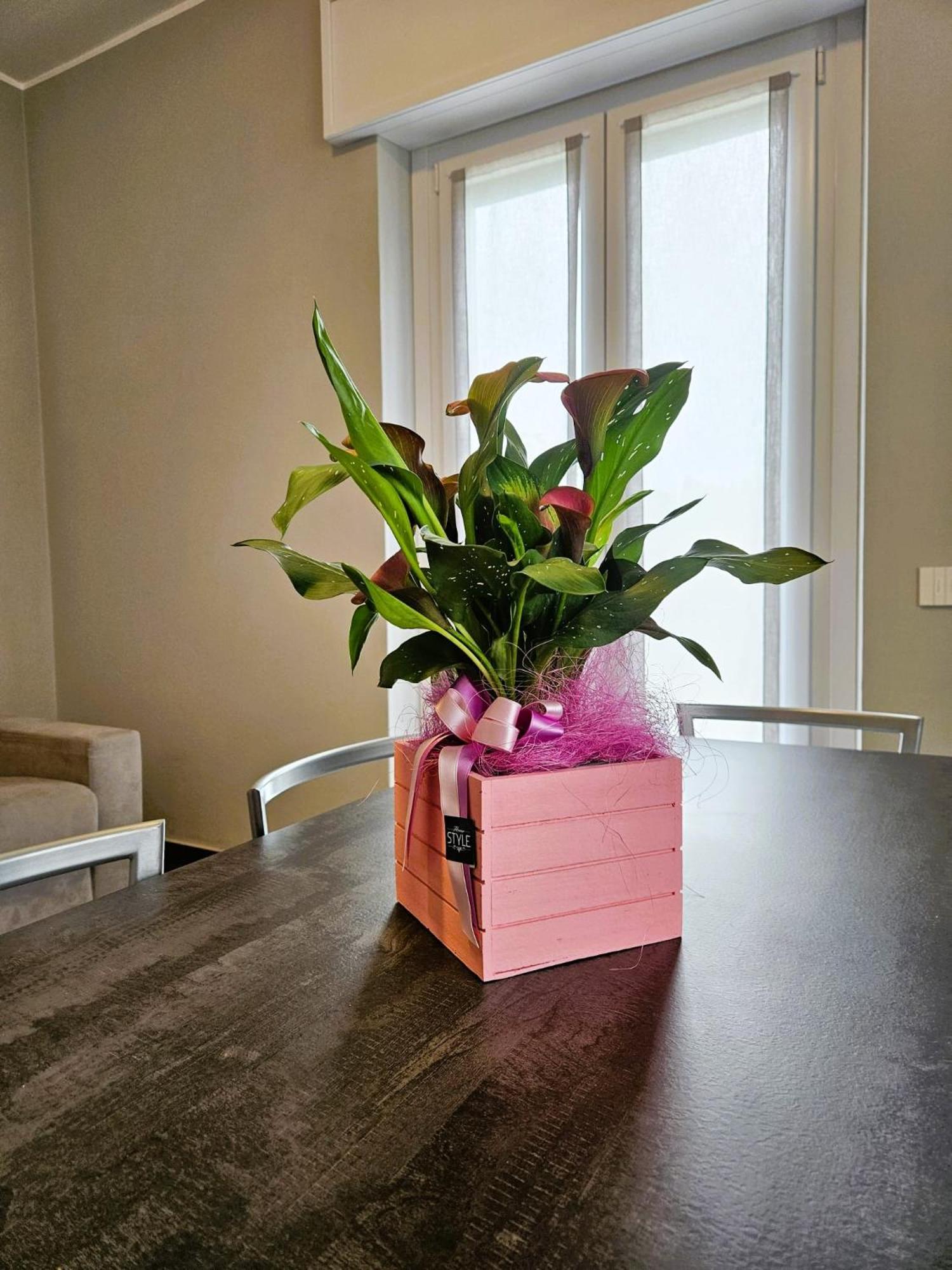 Via Brennero 5 Apartments Pastrengo Zewnętrze zdjęcie